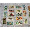 Image 2 : Brooke Bond Tea Cards Birds and Butterflies