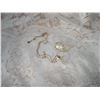 Image 1 : Vintage Mother of Pearl Brooch and Signed Stella and Dot Necklace