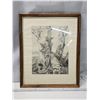 Image 1 : "Peeling Birches" framed print, by Ernest Lindner - 18"x21.5"H