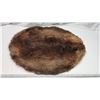 Image 1 : Beaver fur pelt - 25"W x 32"