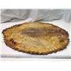 Image 4 : Beaver fur pelt - 25"W x 32.5"