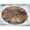 Image 1 : Beaver fur pelt - 27"x34"