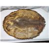 Image 3 : Beaver fur pelt - 27"x34"