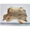Image 1 : Brown rabbit fur pelt - 14"x17"