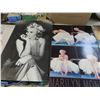 Image 2 : Princess Diana/ Marilyn Monroe- 5 posters