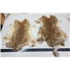 Image 1 : Pair of brown rabbit fur pelts