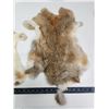 Image 2 : Pair of brown rabbit fur pelts