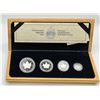 Image 1 : 1989 Platinum Maple Leaf Proof Set