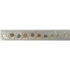 Image 1 : Test Strip Dollar Tokens