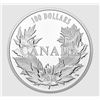 Image 2 : 2019 Canadian Maples $100 Fine Silver Coin