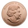 Image 2 : 2017 Canada 150th Canadian Confederation Medal - 10 oz. Bronze