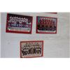 Image 3 : (7) NHL Team Photo Hockey Cards