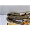 Image 5 : (7) Dog Sled Harnesses (Yellow & Brown Hues)