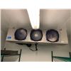 Image 13 : WALK IN COOLER & FREEZER WITH BOHN REFRIGERATION UNIT FANS (CONTENTS NOT INCLUDED)