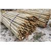 Image 1 : 2-3 x 8' Pointed Treated Posts (150)