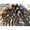 Image 2 : 3-4 x 10' Pointed Treated Posts (100)