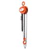 Image 1 : TMG Industrial 1 Ton Chain Hoist-Unused