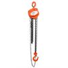 Image 2 : TMG Industrial 1 Ton Chain Hoist-Unused