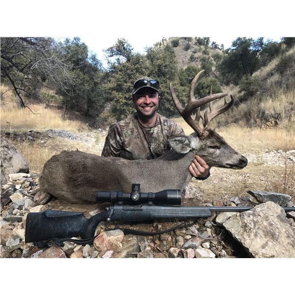 Arizona Coues Deer Hunt for 2 Hunters (Mountain Lion Trophy Fee included)