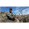 Image 2 : Arizona Coues Deer Hunt for 2 Hunters (Mountain Lion Trophy Fee included)