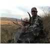 Image 3 : Arizona Coues Deer Hunt for 2 Hunters (Mountain Lion Trophy Fee included)