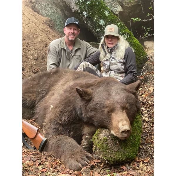 California Fully Guided Bear Hunt