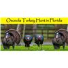 Image 1 : Ocela Turkey Hunt for 1 Hunter - Florida