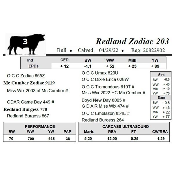 Redland Zodiac 203