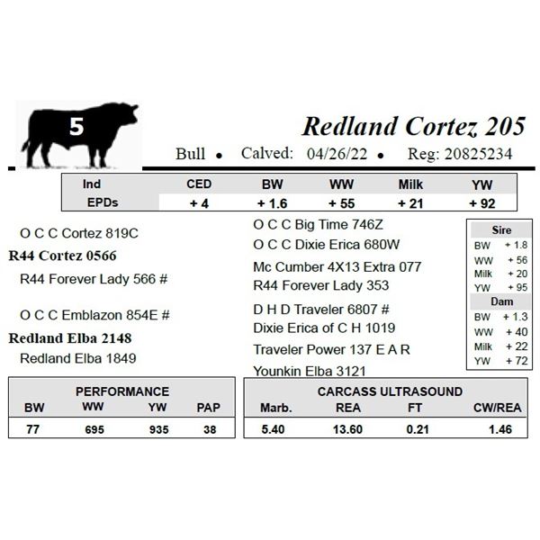 Redland Cortez 205