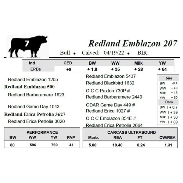 Redland Emblazon 207