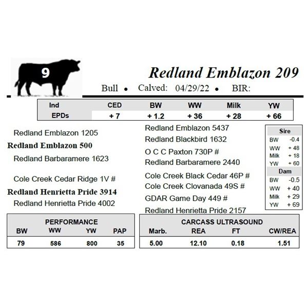 Redland Emblazon 209