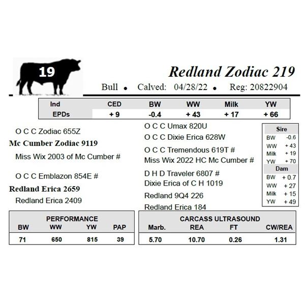 Redland Zodiac 219