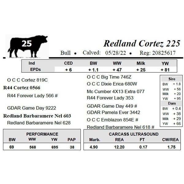 Redland Cortez 225