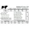 Image 1 : Redland Cortez 225