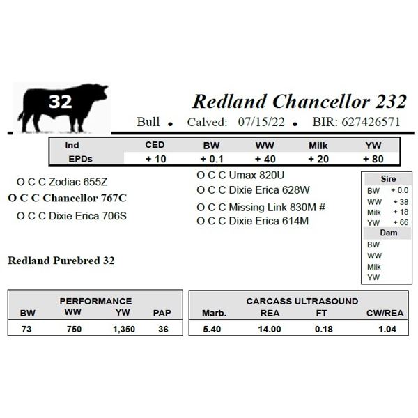 Redland Chancellor 232