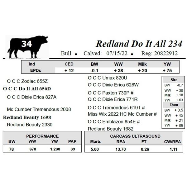 Redland Do It All 234