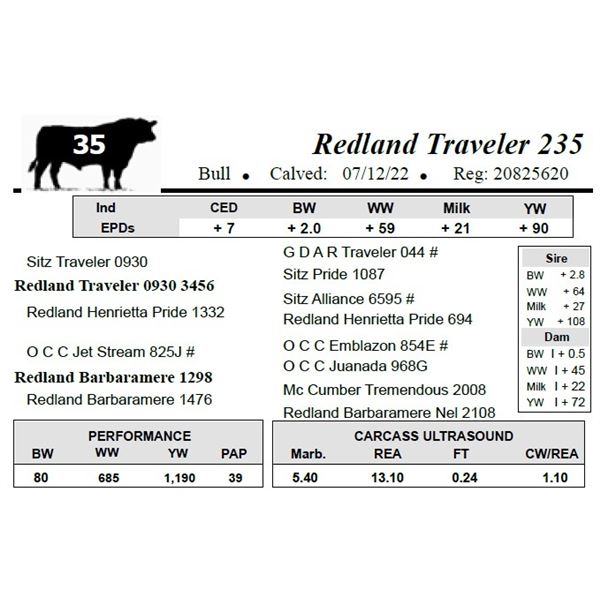 Redland Traveler 235