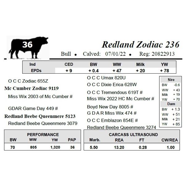 Redland Zodiac 236