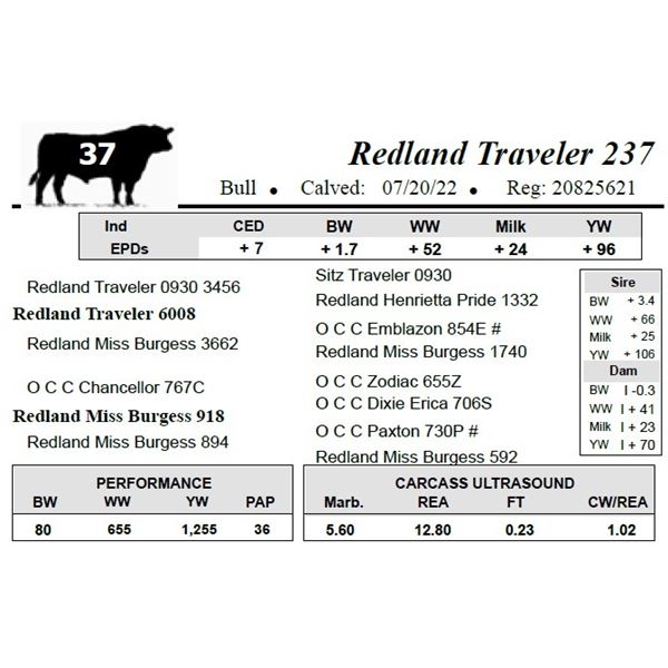 Redland Traveler 237