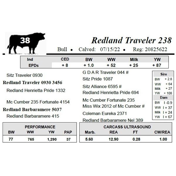 Redland Traveler 238