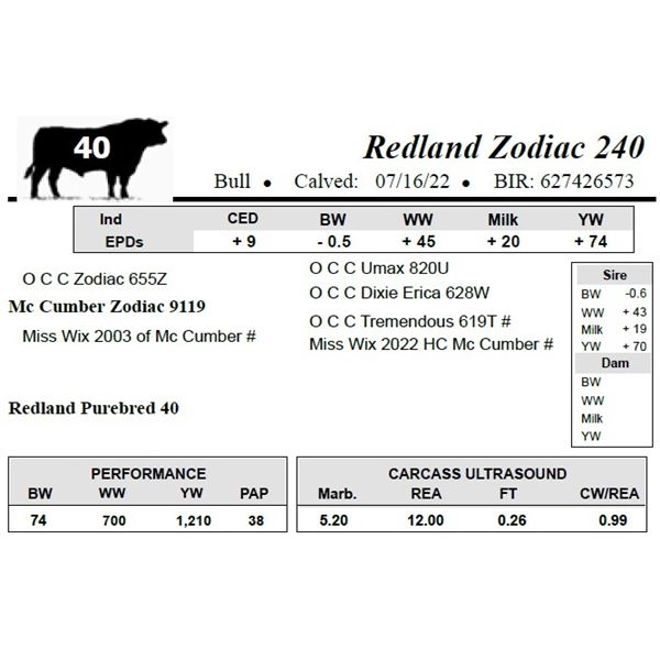 Redland Zodiac 240