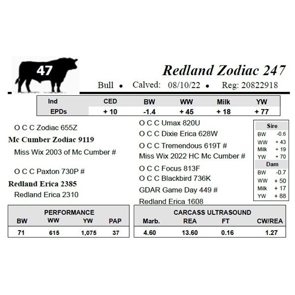 Redland Zodiac 247