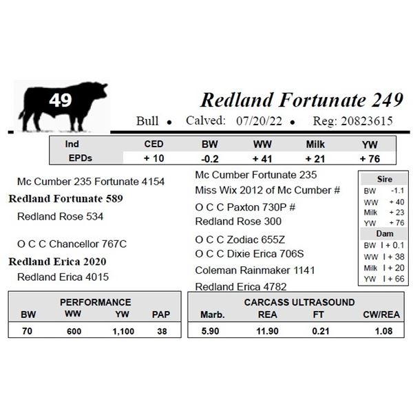 Redland Fortunate 249