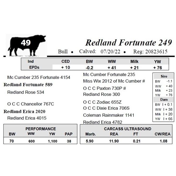 Redland Fortunate 249