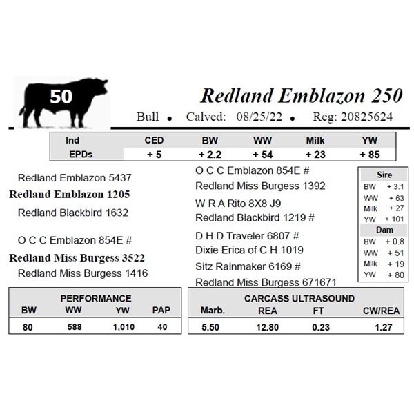 Redland Emblazon 250