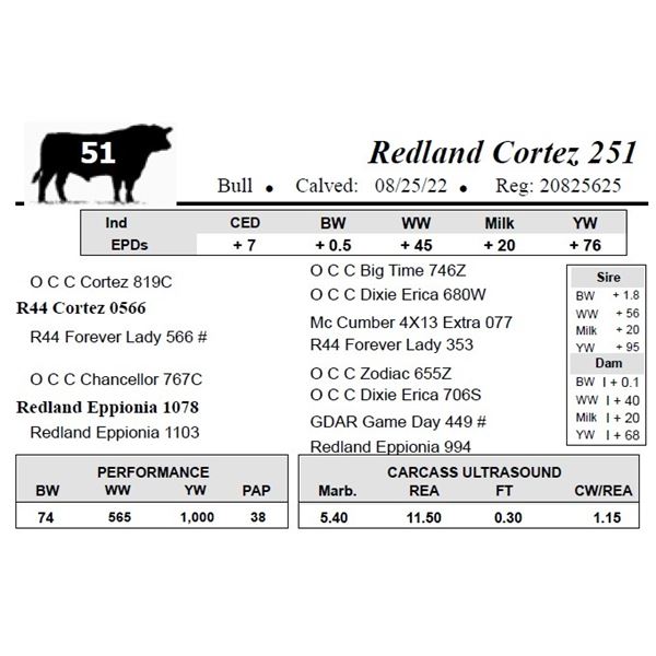 Redland Cortez 251