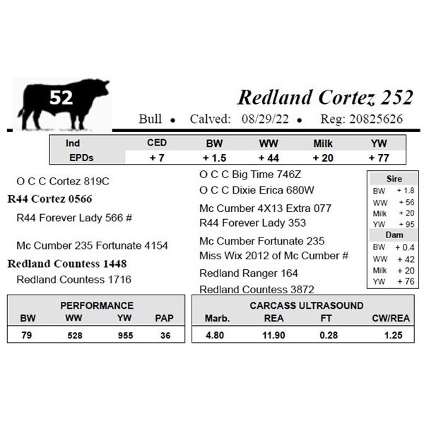 Redland Cortez 252