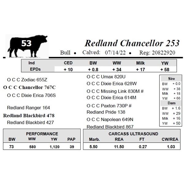 Redland Chancellor 253