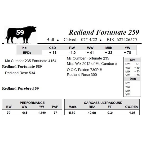 Redland Fortunate 259