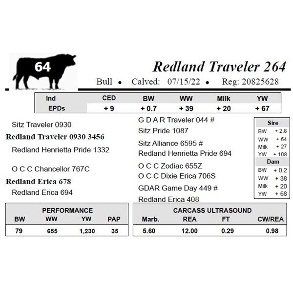 Redland Traveler 264
